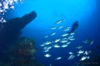 20260730_10h28mn27s-r