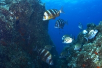 20260730_10h39mn29s-r