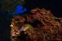 20260806_10h07mn09s-r