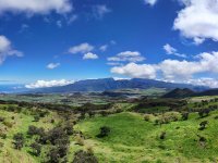 20250329_08h20mn26s_nez-de-boeuf-reunion