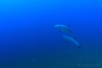 20130412_16h38mn29s-r3