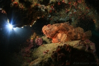 20100719_16h01mn51s