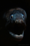 20140802_15h48mn48s-ret