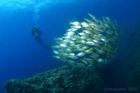 20260731_10h28mn54s-r